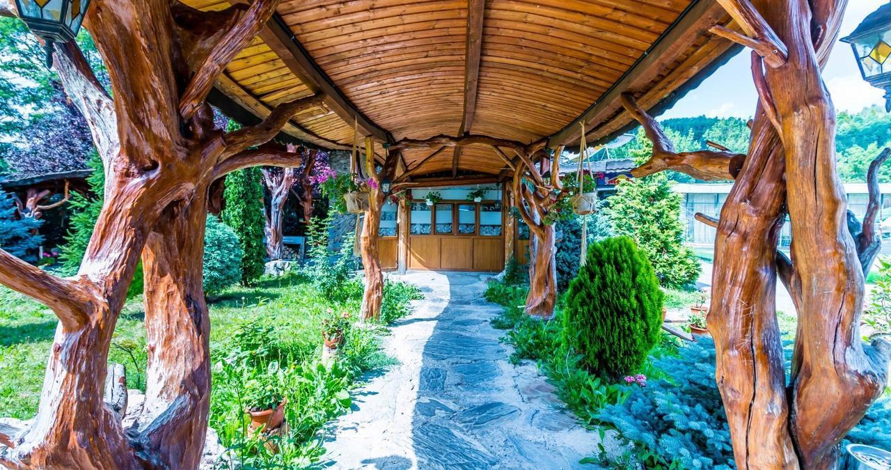 Castelul De Vis Hotell Petroşani Exteriör bild